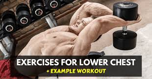top 8 lower chest exercises for