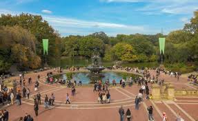 Image result for street performers in central park bethesda