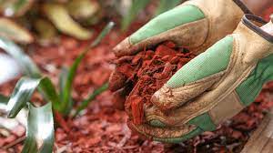Mulch To Use If You Want To Keep Bugs Away
