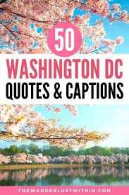 Hundreds of thousands of protesters trekked through the heat, stretching from the. 50 Best Washington Dc Quotes To Inspire Your Trip To America S Capital In 2021 The Wanderlust Within