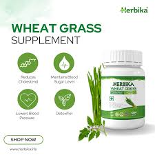 wheat gr herbika