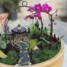 terrariums miniature gardens hoen s