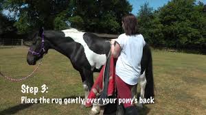 how to fit a rug pony magazine you