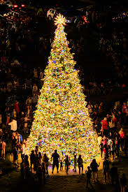 New Christmas Tree Lights Up The Season Coastal Breeze News