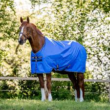 amigo rugs affordable rugs for horses