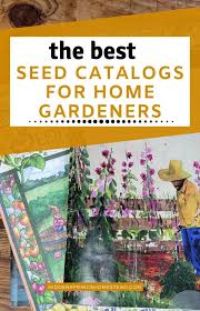 Best Seed Catalogs For Home Gardeners