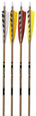 Gold Tip Traditional Carbon Arrows