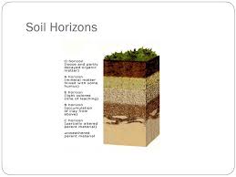 Soil Resources Chapter Ppt Video Online Download