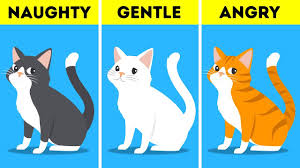 What Your Pets Color Says About Their Personality