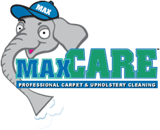 maxcare of florida cleans your carpets