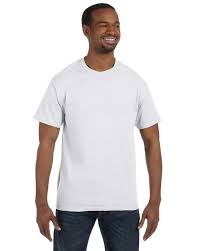 Hanes 5250t Tagless T Shirt