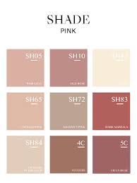 Shade Pink Superior Wall Paint Silk