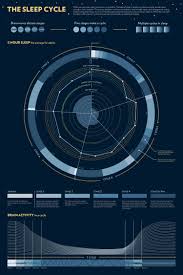 The Sleep Cycle Infographic Sleep Cycle Chart Infographic