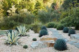 Drought Tolerant Landscaping