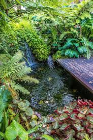 Photo Waterfall In Tropical Garden