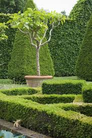 English Boxwood Garden Design Stock