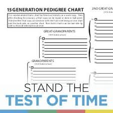 Treeseek 15 Generation Pedigree Chart 10 Pack Blank Genealogy Forms For Family History And Ancestry Work