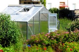 How To Build A Small Greenhouse In 8