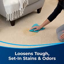 carpet protector carpet cleaning