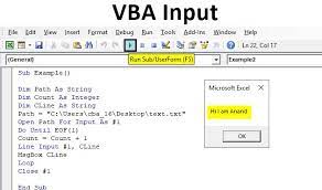 input function in excel vba