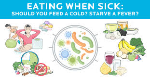 what should you eat when sick