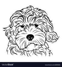 It is a mixed dog breed that is a cross between a miniature poodle and a golden retriever. Gesgolden Doodle Mini Coloring Pages Miniature Goldendoodle Puppies A Whole Bunch Of Cuteness Search Through 51976 Colorings Dot To Dots Tutorials And Silhouettes Nannette Kaczmarek