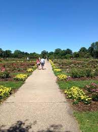 rose garden lyndale park picture of