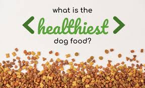 what is the healthiest dog food 2023
