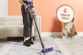 the 10 best vacuums for pet hair of
