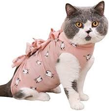 How to put on a cat vest or cat recovery suit by simply cats veterinary clinic and petstoreo. Pin By Cielo Peralta On Cosas De Gatos Cat Collars Diy Cat Collars Cats