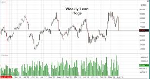 Lean Hogs Futures Trading Futures Contract Prices Charts