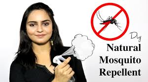 diy natural mosquito repellent using