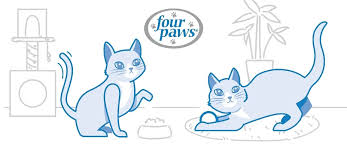 decoding cat body age four paws