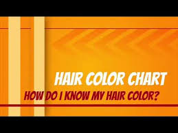 1b Hair Color Chart Hair Color Chart Colour Chart For