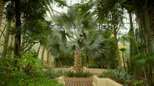 adelaide botanic gardens in adelaide