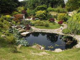 Creating An Ideal Pond