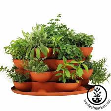 Culinary Herb Garden Starter Kit With