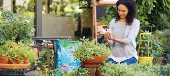 Plant Your Garden The Home Depot