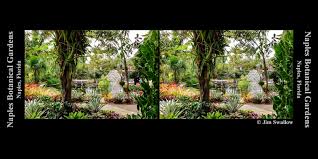 naples botanical garden in 3d