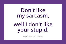 We've all had that terrible feeling of being shocked when you find out that somebody has been talking about you behind your back. List Of 75 Funny Insults Pun Me