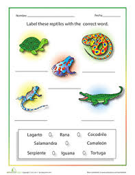 Spanish Reptiles Worksheet Education Com