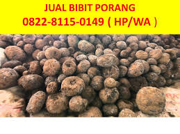 Jambi merupakan satu provinsi indonesia di pulau sumatera. Jual Beli Bibit Porang 0822 8115 0149 By Jual Beli Bibit Porang 0822 8115 0149 Medium