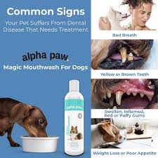 magic mouthwash by alpha paw
