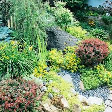 19 Rock Garden Ideas To Add Visual