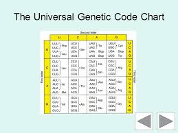 Universal Genetic Code Chart Answers However Is