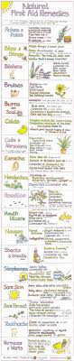 Natural First Aid Remedies Chart By Liz Cook