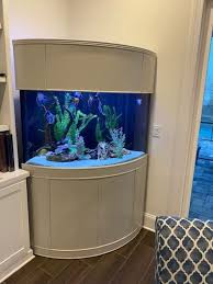 corner fish tank ideas to enhance your