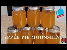 crockpot apple pie moonshine you