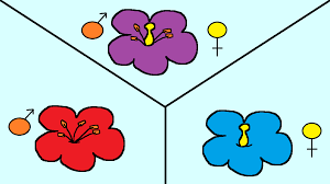 The main flower parts are the male part called the stamen and the female part called the pistil. Many Flowers Contain Both Male And Female Parts Some Flowers Only Contain One Gender Of Parts Learn More In Ou Teaching Plants Parts Of A Flower Pollination