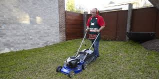 Lawn Mowing Tips How To Mow Lawn Like A Pro Bunnings